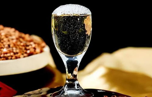 低價(jià)淘好酒有門(mén)道 避開(kāi)即飲型，記住三要點(diǎn)，便宜也能喝到好滋味