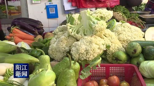 本地農產品源源上市，陽江菜籃子有保障