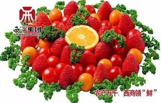西商之聲 2017年12月26日