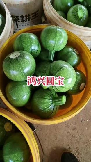 抖音助農  #三農  #新農人計劃  #優質農產品  #源頭實力廠家